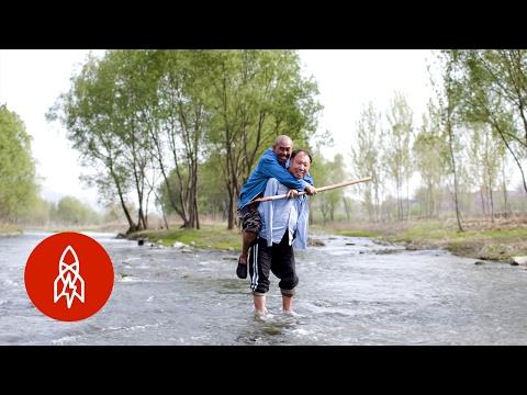The Friends Who Planted 10,000 Trees