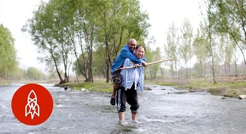 The Friends Who Planted 10,000 Trees