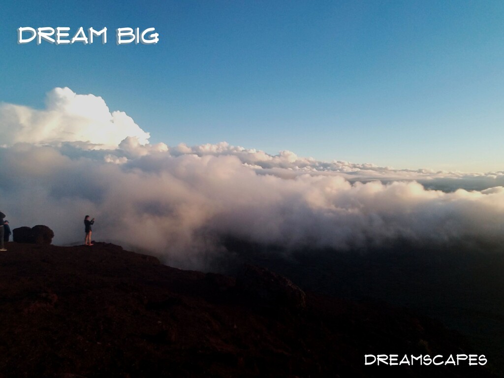 Dream Big with Dreamscapes