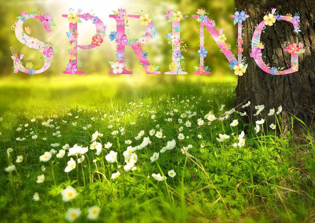 Happy Spring from DreamScapes!