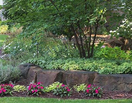 Landscape Architecture