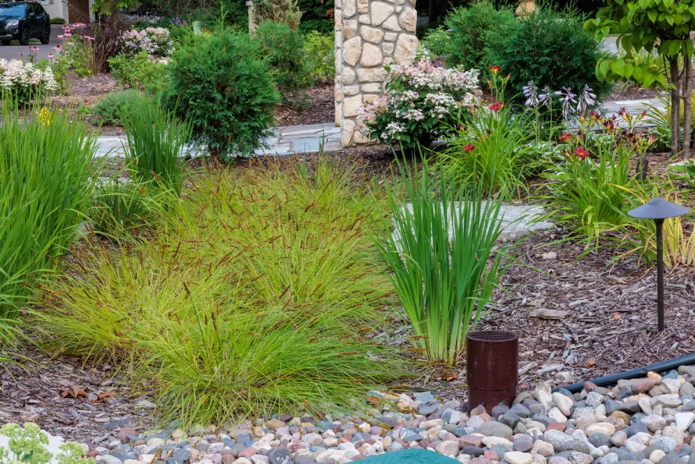 RainGarden