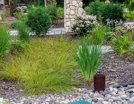 RainGarden
